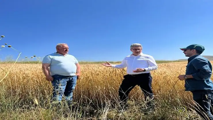 Müdür Engin, tohumların ekildiği tarlaları ziyaret etti