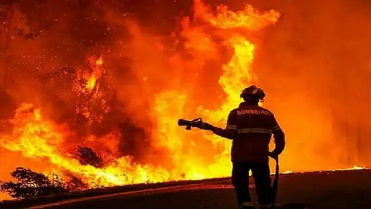 Ağrı'da 3 dönümlük tarla küle döndü