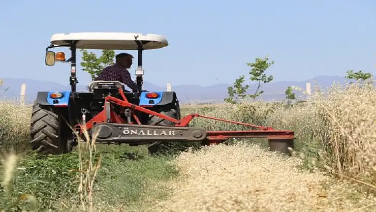 Ağrı'da yulaf ve tritikale çeşitlerinde hasat gerçekleştirildi