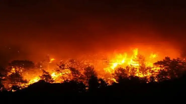 Ağrı'da bir bahçe küle döndü