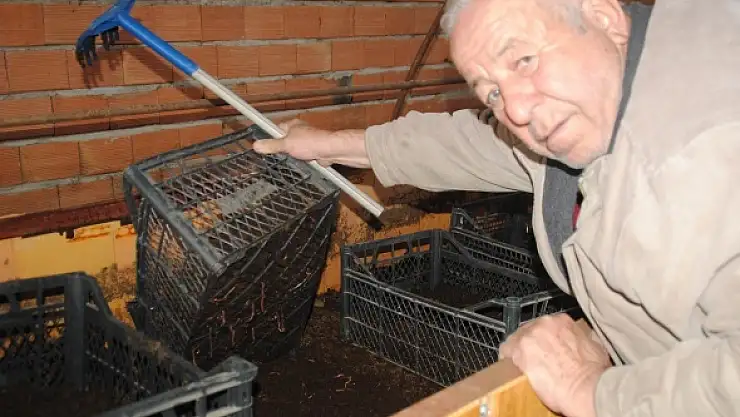 Ürettiği solucan ile paraya para demiyor