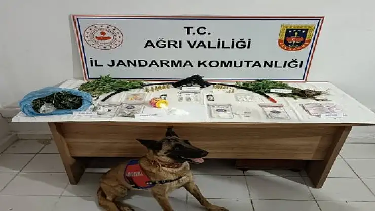 Patnos'ta uyuşturucu operasyonu: 1 tutuklama