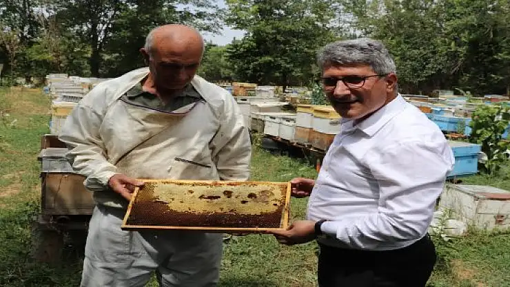 Ağrılı arıcılar tescilli