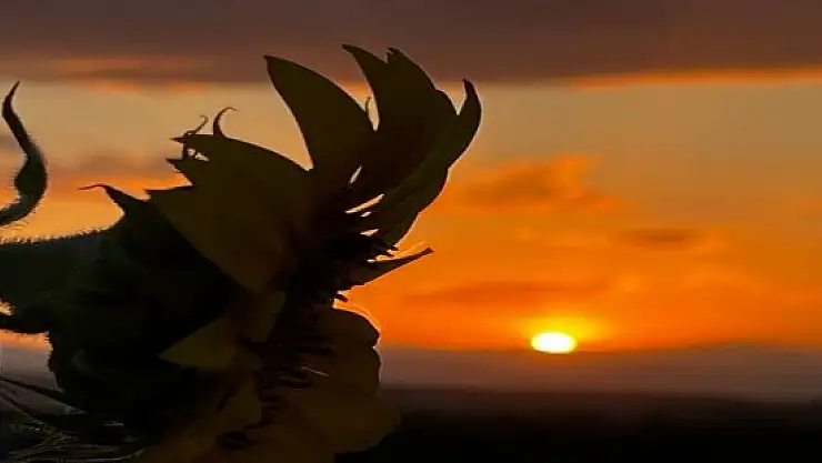 Ağrı'da gün batımı görsel şölen oluşturdu