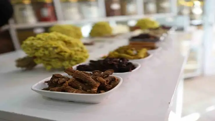 Kış aylarının koruyucu kalkanı 'kış çayı' kaynamaya başladı