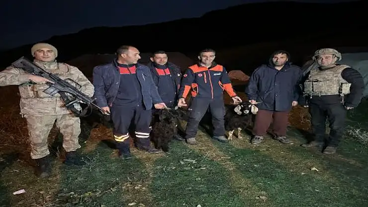 AFAD ekipleri, kayalıklarda mahsur kalan 3 küçükbaş hayvanı kurtardı
