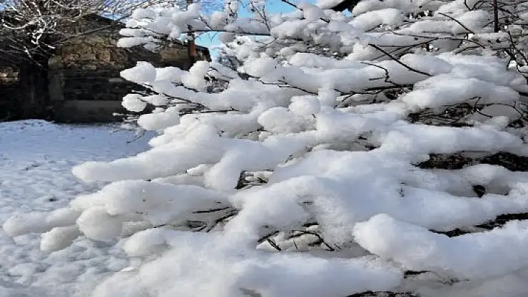 Ağrı'da 66 köy yolu kar nedeniyle ulaşıma kapandı