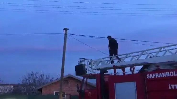 Köpek korkusu elektrik direğine çıkarttı