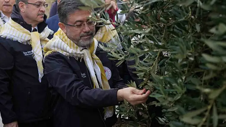 Zeytinyağı sıkıntısı olmayacak