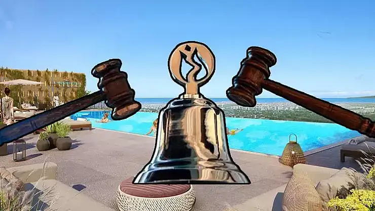 Surgery Halka Arz Kaç Lot Verdi?