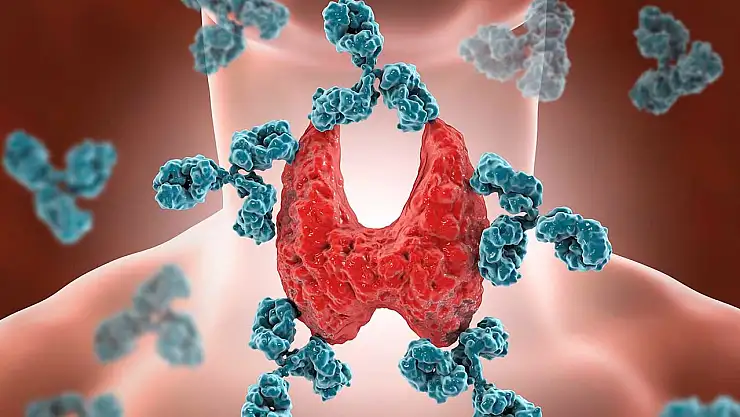 Serbest T4 Nedir? Serbest T4 Ne İşe Yarar?