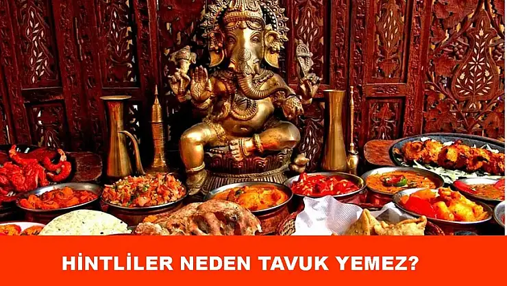 Hintliler Neden Tavuk Yemez?
