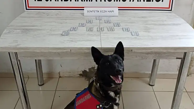 Ağrı otobüsündeki yolcuda uyuşturucu çıktı