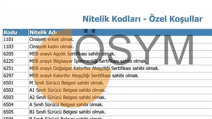 KPSS NİTELİK KODLARI 2023 7322, 7374, 7111, 6506 ve 6225 nitelik kodları nedir?