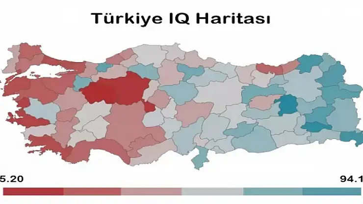 Türkiye'nin en zeki illeri açıklandı, Ağrı kaçıncı sırada?