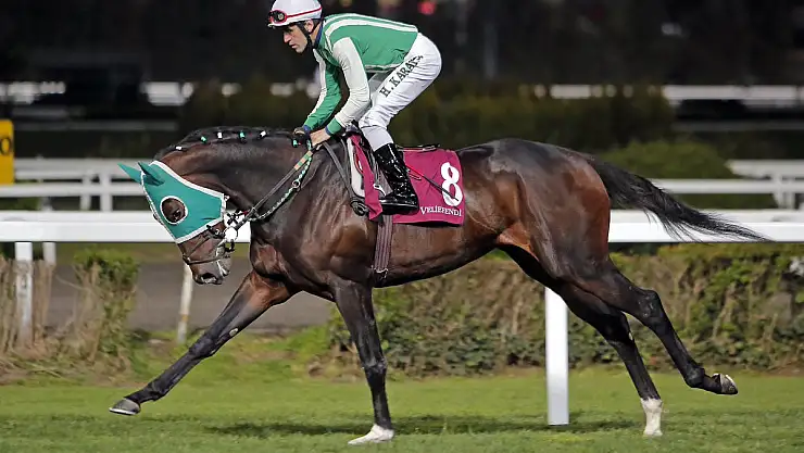 Halis Karataş Neden At Binmiyor?