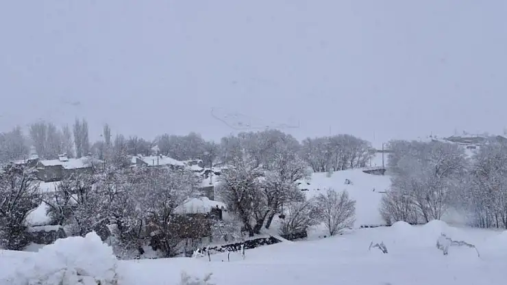 Ağrı'nın gerçek kışı başladı