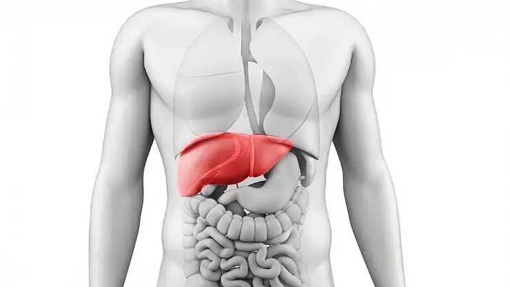 Wilson hastalığı nedir? İşte Wilson hastalığı hakkında merak edilenler