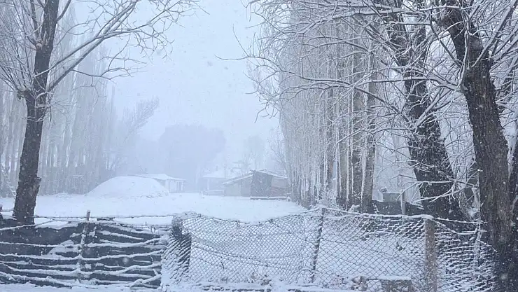 Ağrı'da önce kar sonra don etkili oldu