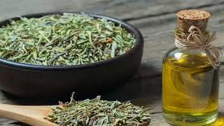 Soğuk kış günlerinin şifası….En etkili doğal antibiyotik bakın nedir?