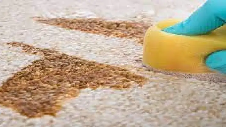 Koltuk ve halı lekesine müthiş çözüm… Lekeleri tek seferde çıkarma yöntemi nedir?