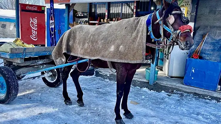 Ağrı'da soğuklar başladı! şimdilik eksi 17