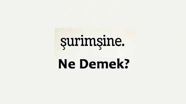 Surimşine ne demek?