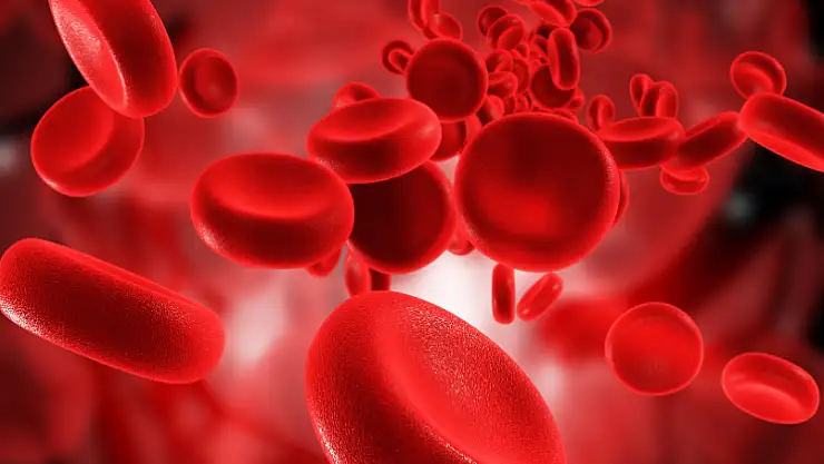 En dirençli kan grupları hangileri?