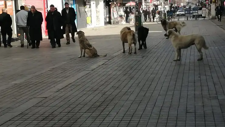 Burası şehrin merkezi Cumhuriyet Caddesi!