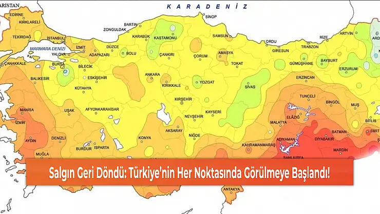 Salgın Geri Döndü: Türkiye'nin Her Noktasında Görülmeye Başlandı!