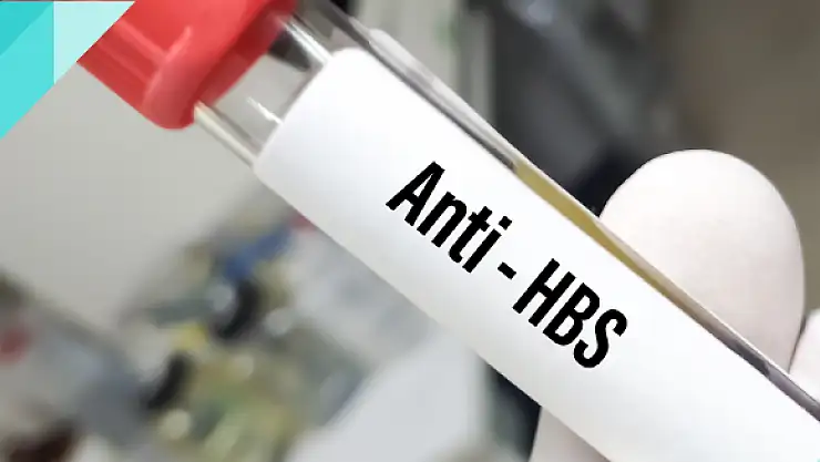 Anti HBS nedir? Anti HBS değeri kaç olmalıdır?