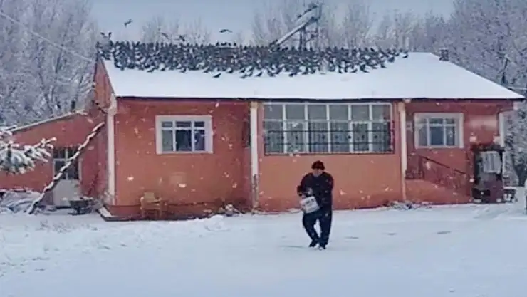 39 yıldır Ağrı'da güvercin besliyor