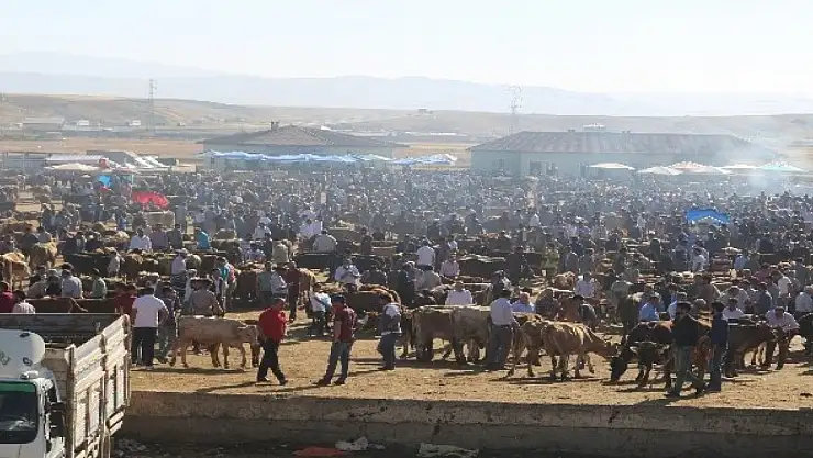 Ağrı Hayvan Pazarında Ramazan Hareketliliği