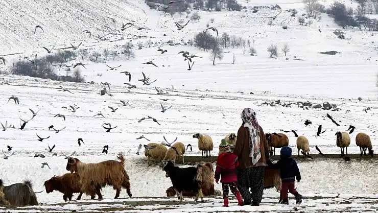 Üzümlü'de Tarım ve Hayvancılık Projesi Tanıtıldı: Köyümde Yaşamak İçin Bir Sürü Nedenim Var