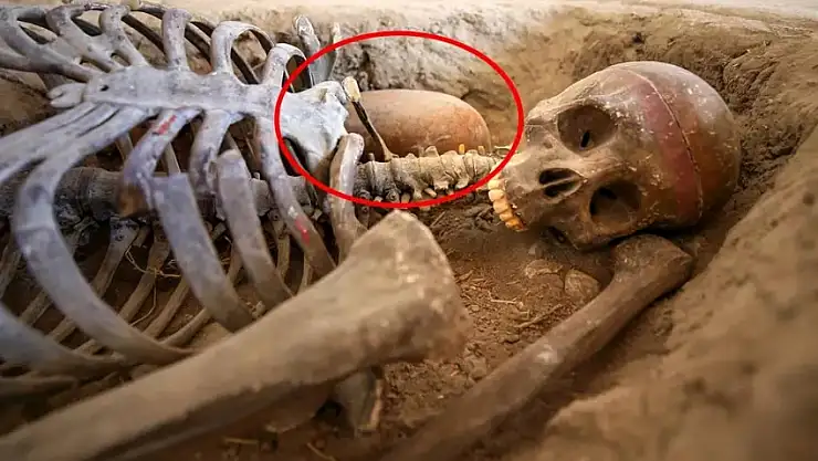 O İlde 8 bin 600 yıllık 'ekmek' Bulundu