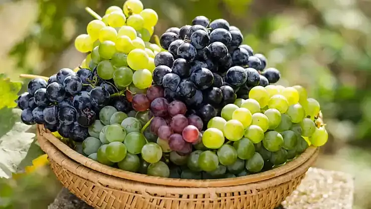 Rüyada üzüm görmek, üzüm yemek ne anlama gelir?