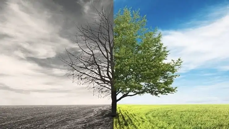 Ağrı Kuraklık Riski Altında!