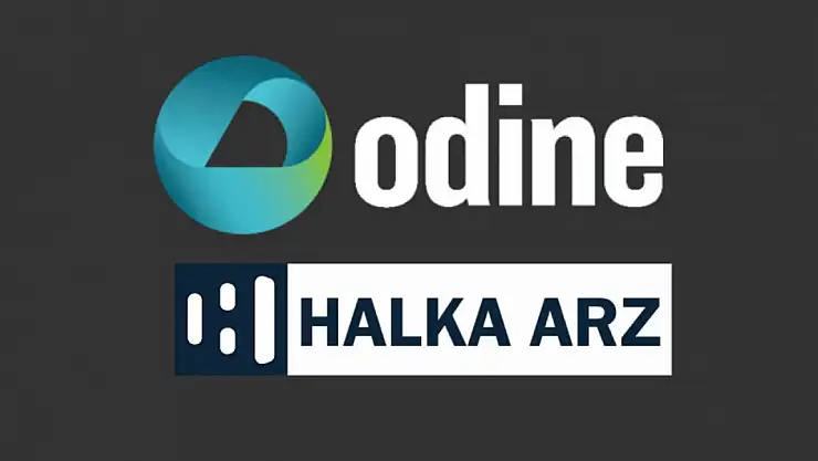 Odine Teknoloji (ODINE) kaç lot verir? Odine halka arzında kişi başı kaç lot düşer?