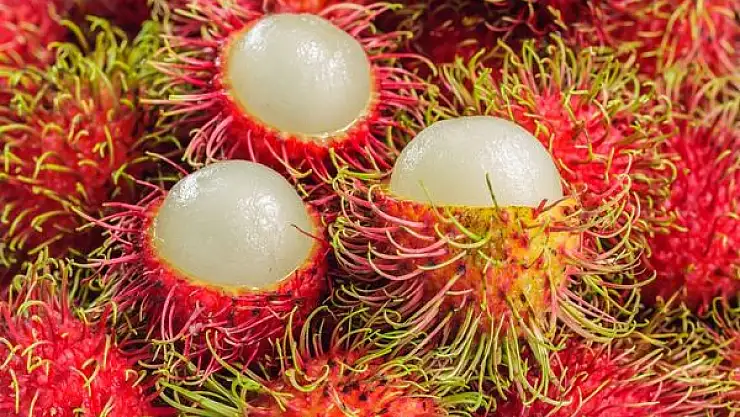 Rambutan meyvesinin faydaları saymakla bitmiyor!