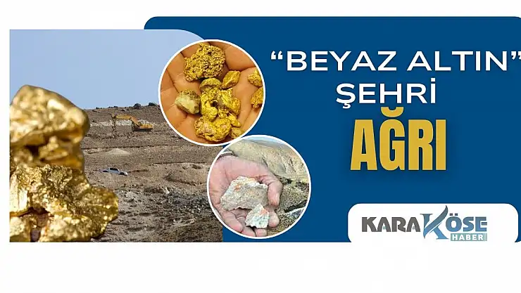 'Beyaz Altın' Şehri: Ağrı