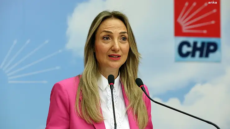 Aylin Nazlıaka CHP'den Neden ihraç edildi?