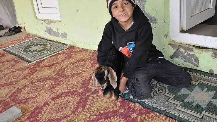 Köyün tek öğrencisi arkadaşsız kalınca çareyi hayvanlarda buldu