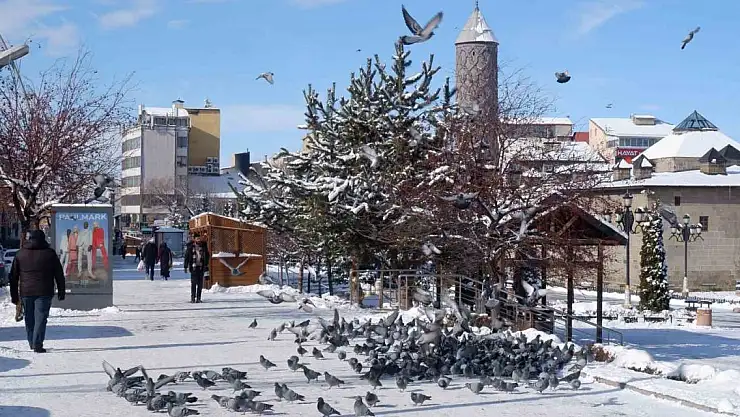 Karla kaplı caddelerde aç kalan güvercinlere esnaf sahip çıktı