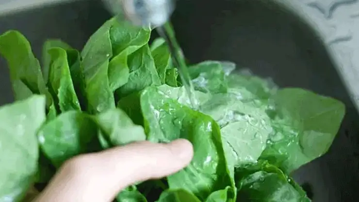 Gözünüzde Büyüyen Ispanak Temizleme İşlemi Artık Sorun Değil: Bu Tüyo ile Sadece 5 Dakikada Topraktan Arınacak