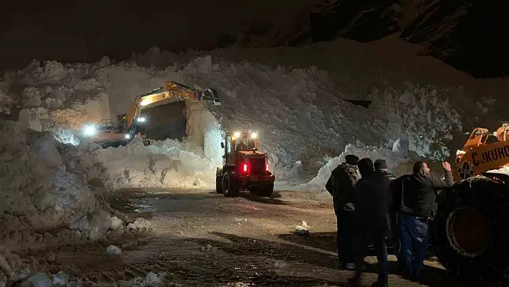 Doğu'da Çığ Tehdidi! Her yerde çığ düşüyor
