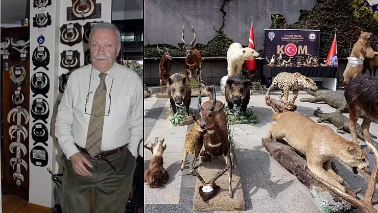 Survivor Nagehan Neden Ağladı? Survivor Nagehan  Olayı Ne?