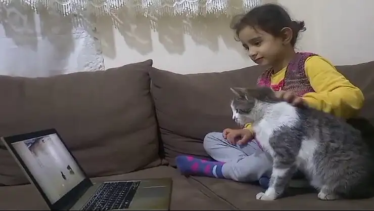 Kedi bilgisayar bağımlısı oldu
