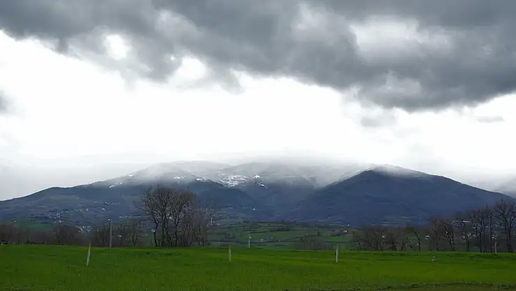Samsun Valiliği'nden zirai don uyarısı