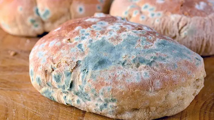 Rüyada küflenmiş ekmek görmek ne demek?