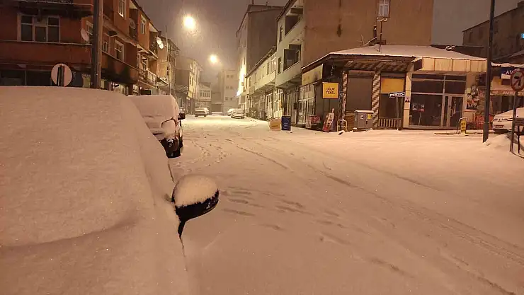 Ardahan'da kar yağışı